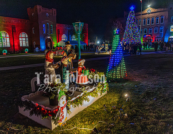 2025 Christmas Tree Lighting - TJP (14 of 17)