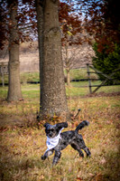 Garrett & MJ Engagement @ Willow Way - Color - TJP (17 of 74)