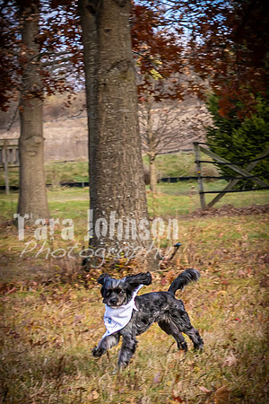 Garrett & MJ Engagement @ Willow Way - Color - TJP (17 of 74)