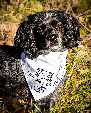 Garrett & MJ Engagement @ Willow Way - Color - TJP (27 of 74)