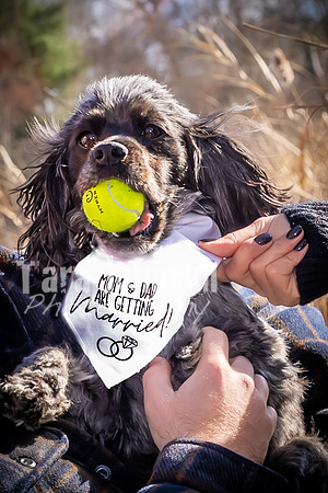 Garrett & MJ Engagement @ Willow Way - Color - TJP (32 of 74)