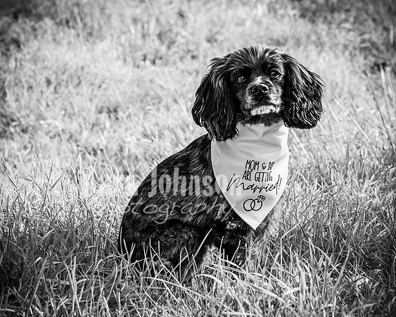 Garrett & MJ Engagement @ Willow Way - BW - TJP (9 of 74)