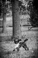 Garrett & MJ Engagement @ Willow Way - BW - TJP (17 of 74)