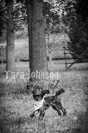 Garrett & MJ Engagement @ Willow Way - BW - TJP (17 of 74)