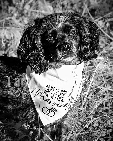 Garrett & MJ Engagement @ Willow Way - BW - TJP (27 of 74)