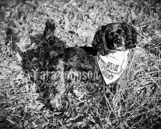 Garrett & MJ Engagement @ Willow Way - BW - TJP (28 of 74)