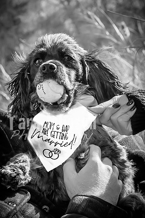 Garrett & MJ Engagement @ Willow Way - BW - TJP (32 of 74)