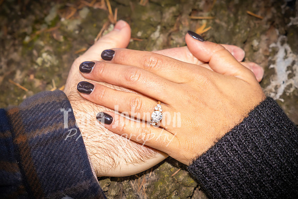 Garrett & MJ Engagement @ Willow Way - Color - TJP (73 of 74)