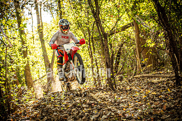 Evan McDiarmid Cedar Island Lake - Color - TJP (49 of 85)