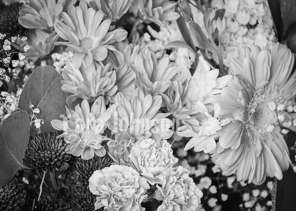 24 D & B Law Wedding - Full Collection B&W (135 of 308)
