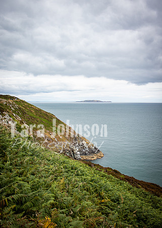 Howth Trip (45 of 55)