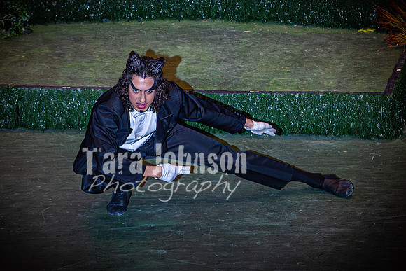 2024 MTC - Honk - Matinee - TJP (18 of 856)