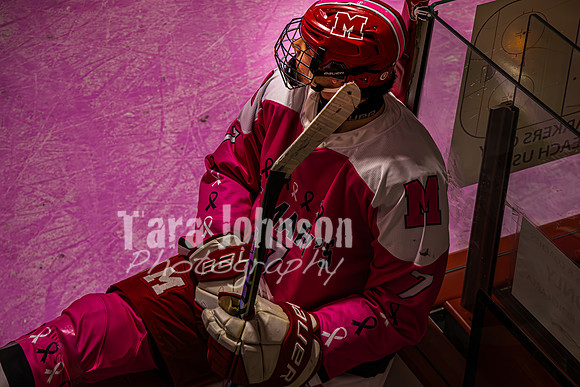 2025 Pink In The Rink- AA (19 of 29)
