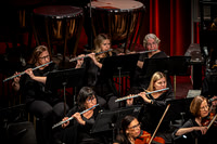 2025 FCO - Performance - TJP (19 of 305)