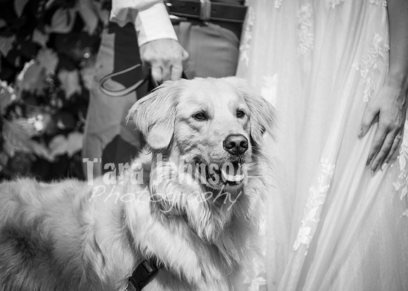 24 D & B Law Wedding - Full Collection B&W (151 of 308)