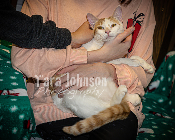 2022 LHS Theatre - Cats - TJP (27 of 70)