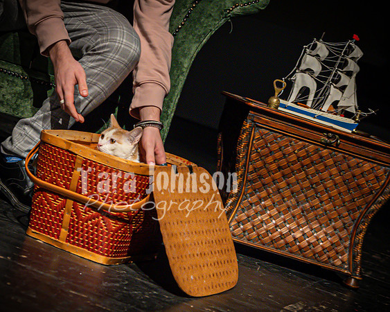 2022 LHS Theatre - Cats - TJP (39 of 70)