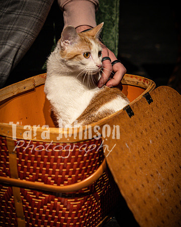 2022 LHS Theatre - Cats - TJP (40 of 70)