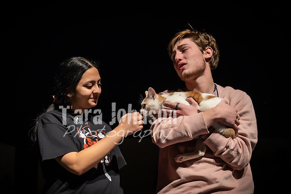 2022 LHS Theatre - Cats - TJP (45 of 70)