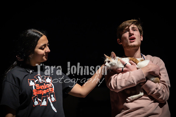 2022 LHS Theatre - Cats - TJP (50 of 70)