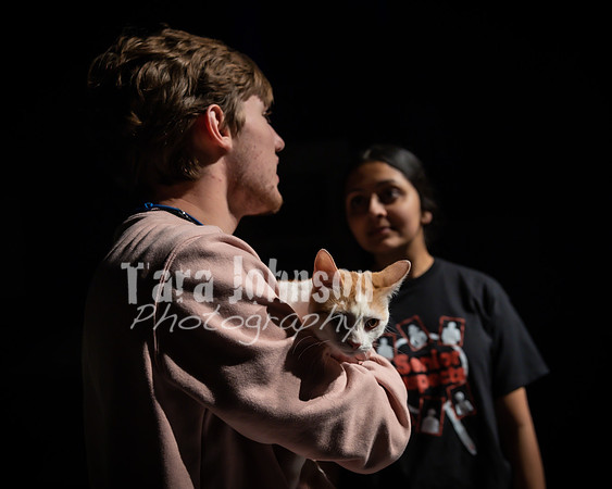 2022 LHS Theatre - Cats - TJP (55 of 70)