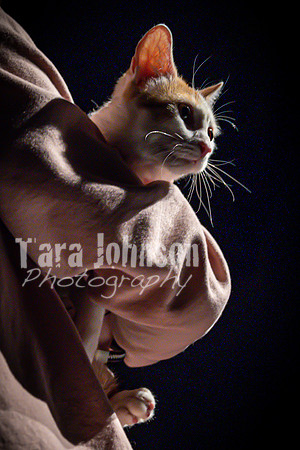 2022 LHS Theatre - Cats - TJP (61 of 70)