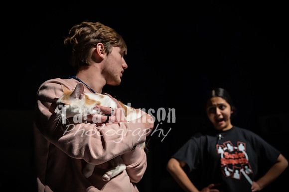 2022 LHS Theatre - Cats - TJP (60 of 70)