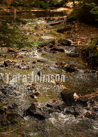 ThT_F25_Camping_Trip (72 of 253)