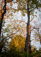 ThT_F25_Camping_Trip (7 of 253)