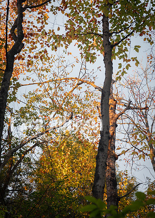 ThT_F25_Camping_Trip (7 of 253)