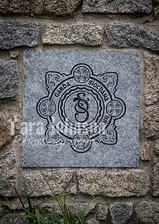 Dublin Castle - The Garden (9 of 36)
