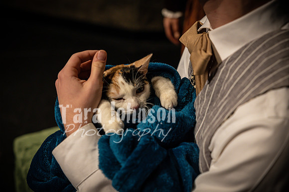 2022 LHS Theatre - LW - Cats DR - TJP (31 of 65)