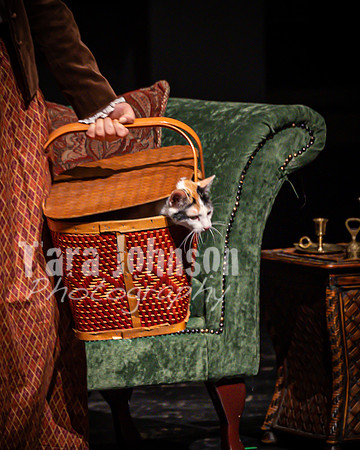 2022 LHS Theatre - LW - Friday - TJP (33 of 368)
