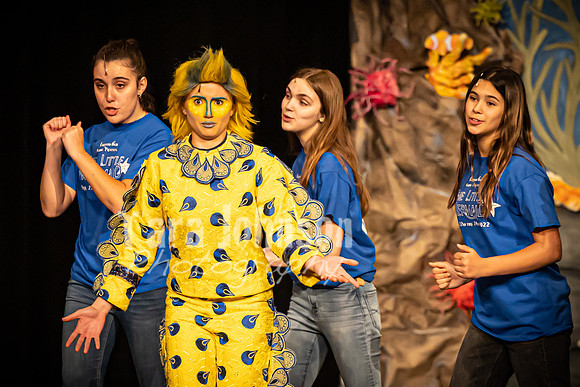 22 LHS Theatre - Mermaid Preschool Performance - TJP (154 of 277)