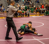 2026 OLSM Wrestling