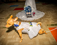 Mitch & Kelly - Venues - TJP (13 of 36)