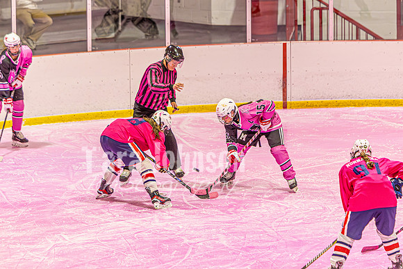 2026 OLSM Pink in the Rink - TJP (4 of 87)