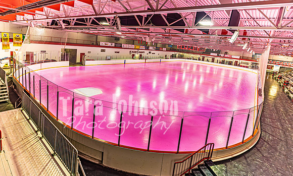 2026 OLSM Pink in the Rink - TJP (2 of 87)