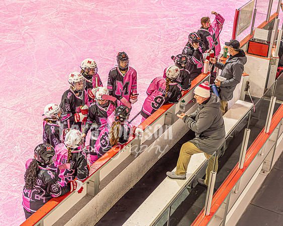 2026 OLSM Pink in the Rink - TJP (7 of 87)