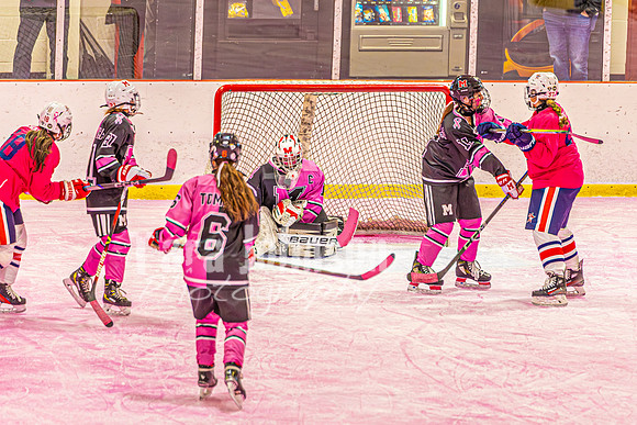 2026 OLSM Pink in the Rink - TJP (10 of 87)