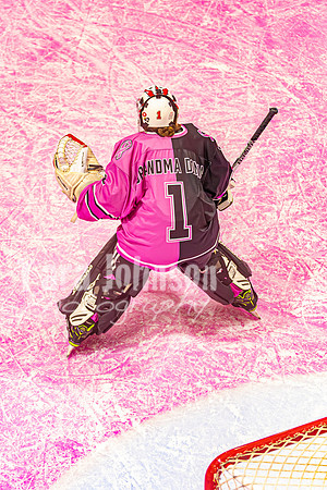 2026 OLSM Pink in the Rink - TJP (14 of 87)