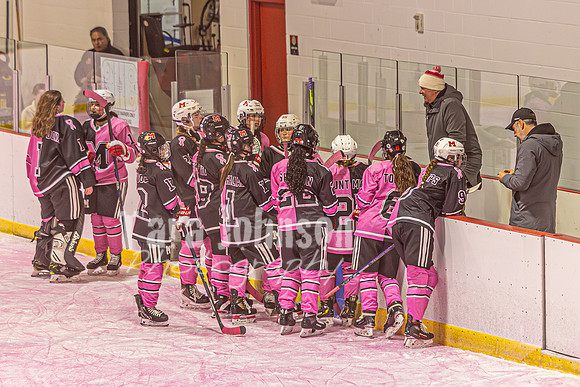 2026 OLSM Pink in the Rink - TJP (20 of 87)