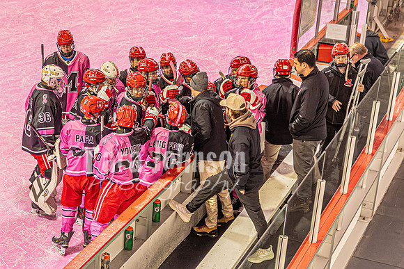 2026 OLSM Pink in the Rink - TJP (30 of 87)