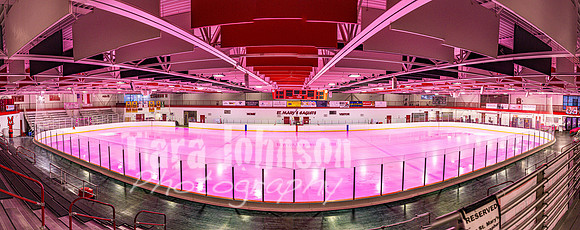 2026 OLSM Pink in the Rink - TJP (3 of 87)