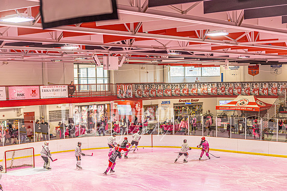 2026 OLSM Pink in the Rink - TJP (33 of 87)