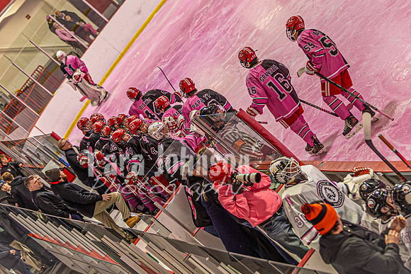 2026 OLSM Pink in the Rink - TJP (50 of 87)