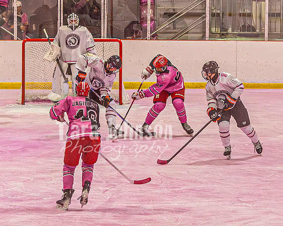 2026 OLSM Pink in the Rink - TJP (57 of 87)