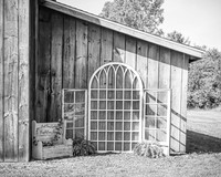 Tim & Corrissa - Complete - BW - TJP (18 of 585)