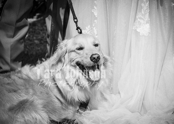 24 D & B Law Wedding - Full Collection B&W (150 of 308)