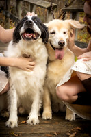 Schultz Twins & Dogs - TJP (12 of 30)